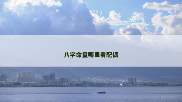 八字命盘哪里看配偶