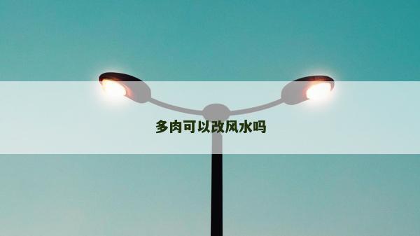 多肉可以改风水吗
