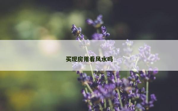 买现房用看风水吗