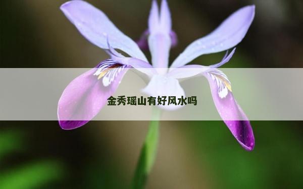 金秀瑶山有好风水吗