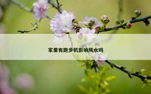 家里有跑步机影响风水吗