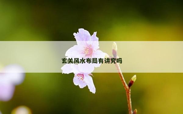 玄关风水布局有讲究吗
