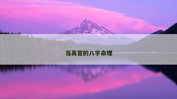 当高官的八字命理