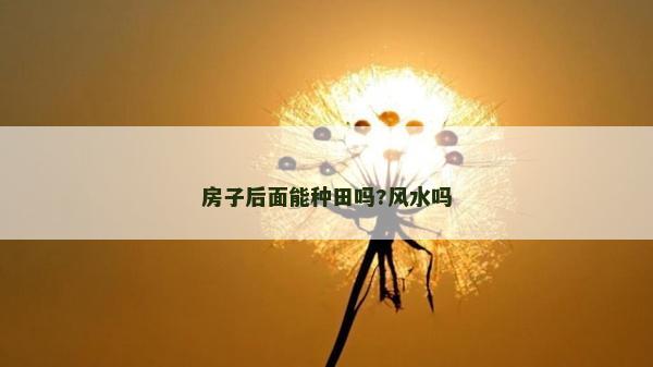 房子后面能种田吗?风水吗