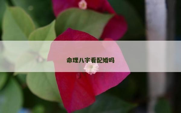 命理八字看配婚吗