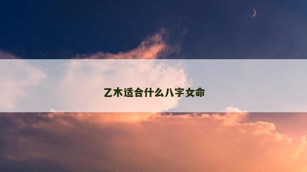 乙木适合什么八字女命