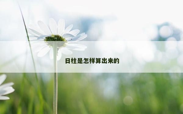 日柱是怎样算出来的