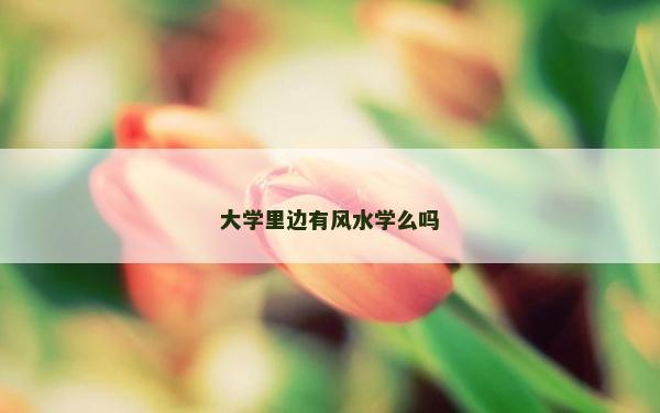 大学里边有风水学么吗