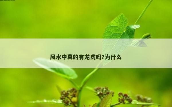 风水中真的有龙虎吗?为什么