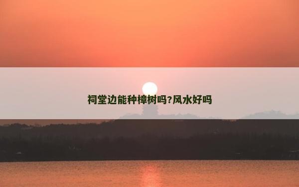 祠堂边能种樟树吗?风水好吗