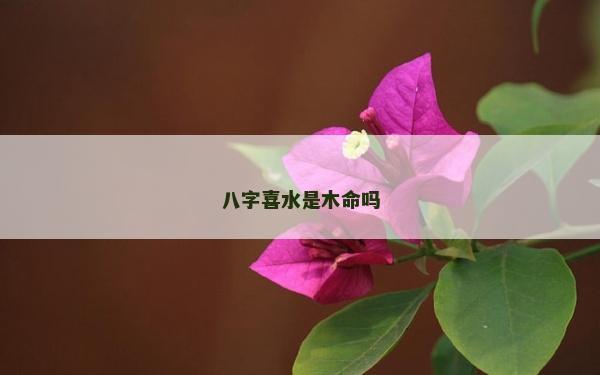 八字喜水是木命吗