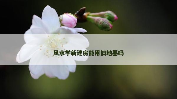 风水学新建房能用旧地基吗