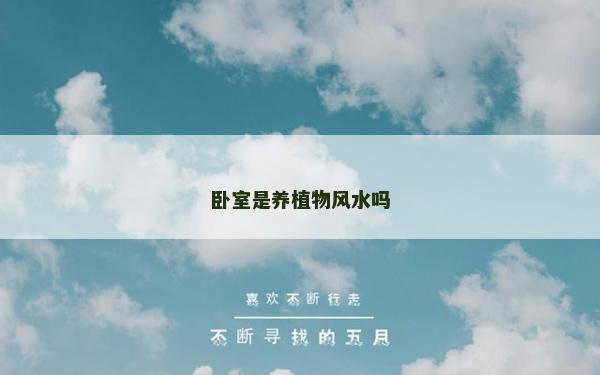 卧室是养植物风水吗