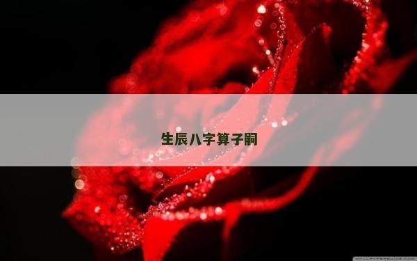 生辰八字算子嗣