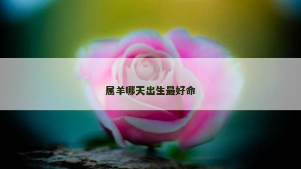 属羊哪天出生最好命
