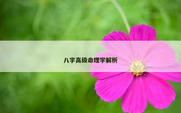 八字高级命理学解析