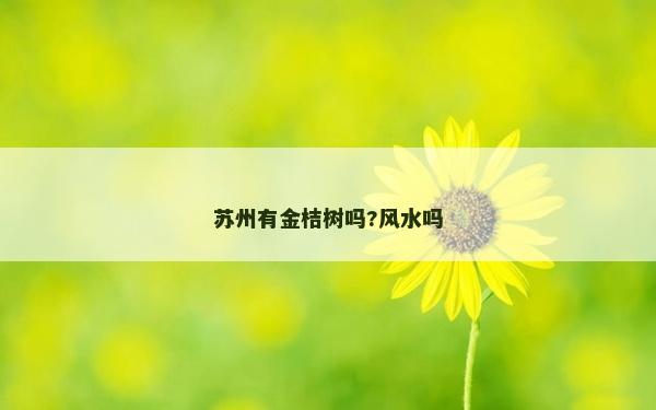 苏州有金桔树吗?风水吗