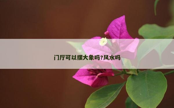 门厅可以摆大象吗?风水吗