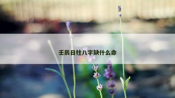 壬辰日柱八字缺什么命
