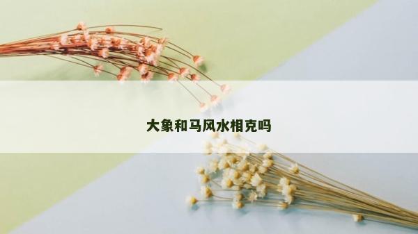 大象和马风水相克吗