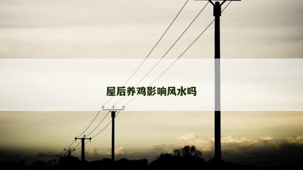 屋后养鸡影响风水吗