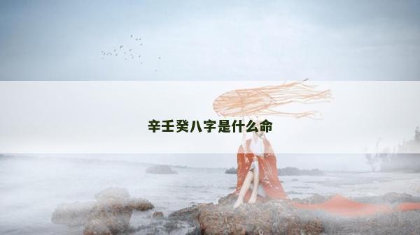 辛壬癸八字是什么命