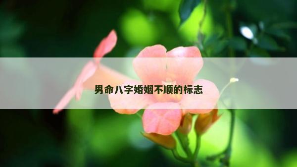 男命八字婚姻不顺的标志