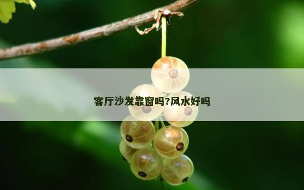 客厅沙发靠窗吗?风水好吗
