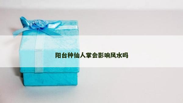 阳台种仙人掌会影响风水吗