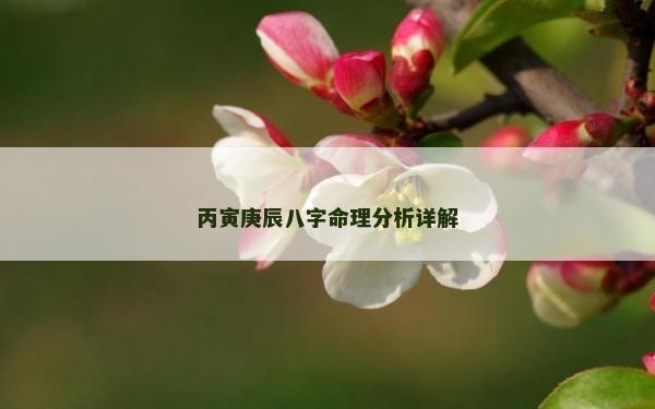 丙寅庚辰八字命理分析详解