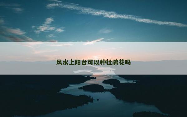 风水上阳台可以种杜鹃花吗