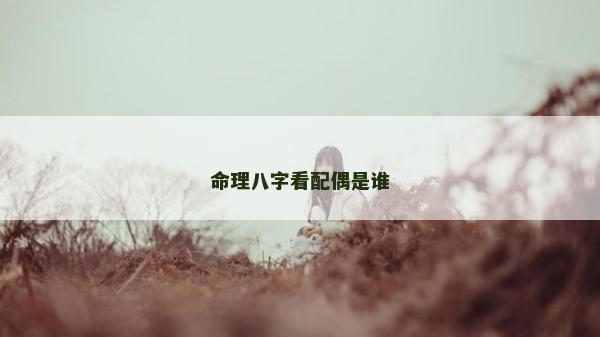 命理八字看配偶是谁