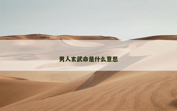 男人玄武命是什么意思