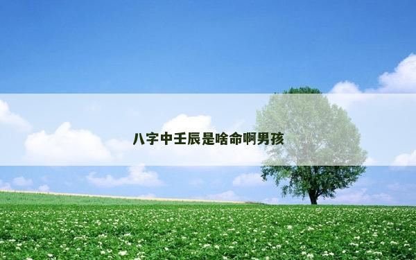 八字中壬辰是啥命啊男孩