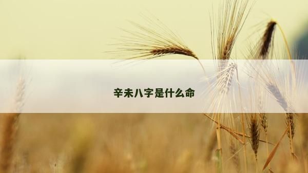 辛未八字是什么命