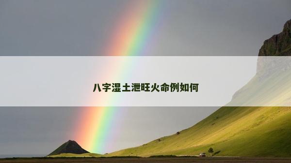 八字湿土泄旺火命例如何