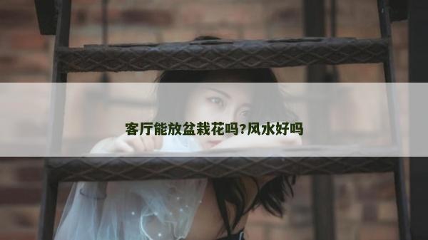 客厅能放盆栽花吗?风水好吗