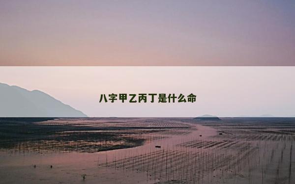 八字甲乙丙丁是什么命