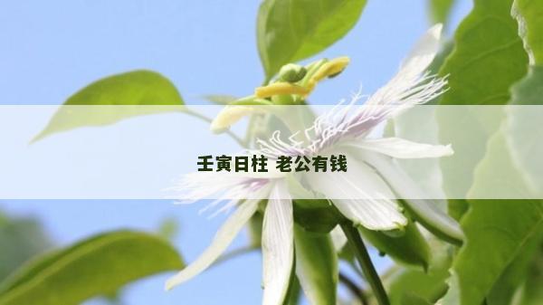 壬寅日柱 老公有钱