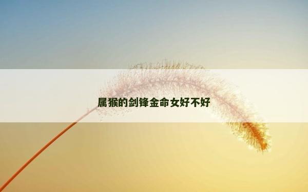 属猴的剑锋金命女好不好