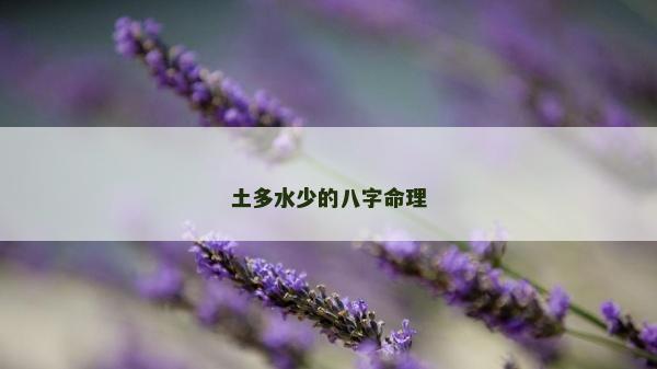 土多水少的八字命理