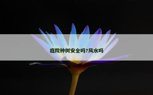 庭院种树安全吗?风水吗