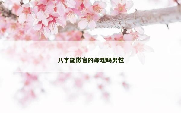 八字能做官的命理吗男性