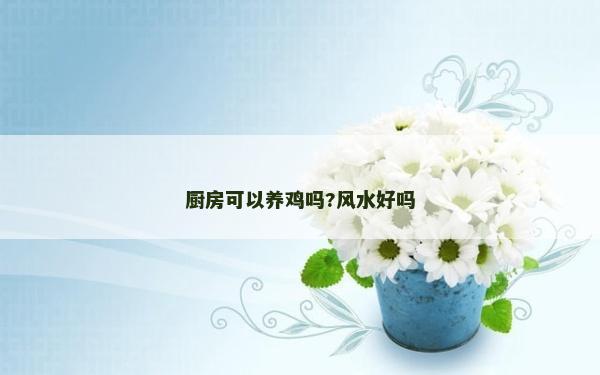厨房可以养鸡吗?风水好吗