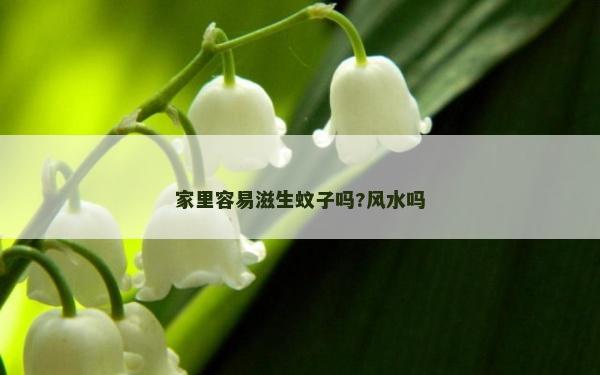 家里容易滋生蚊子吗?风水吗