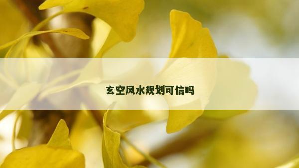玄空风水规划可信吗