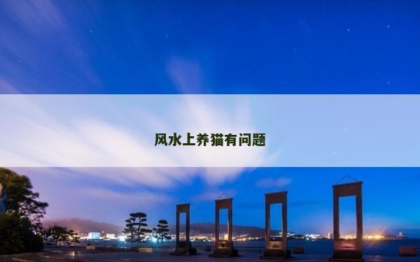 风水上养猫有问题