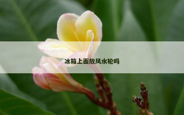 冰箱上面放风水轮吗
