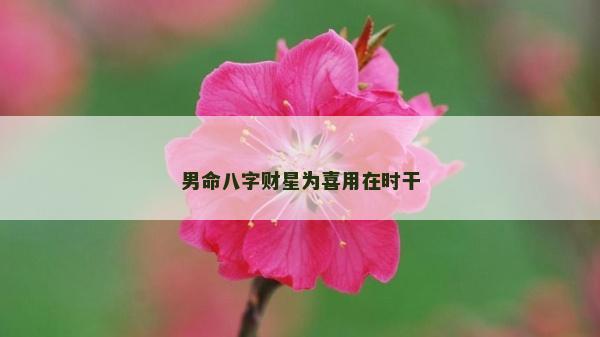 男命八字财星为喜用在时干