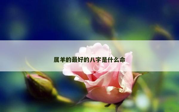 属羊的最好的八字是什么命